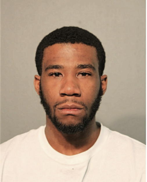 SAMUEL A OGUNLEYE, Cook County, Illinois