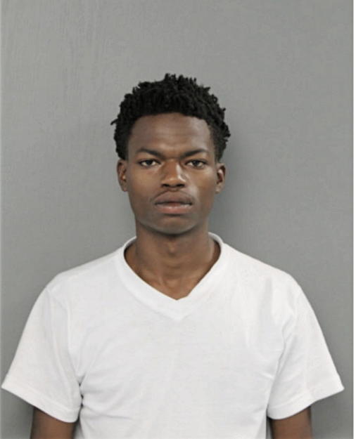 ANDRE A PRATT, Cook County, Illinois