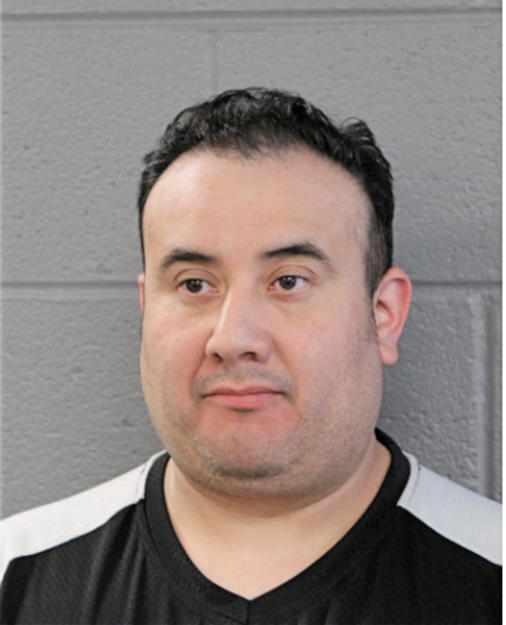 DAVID G REYES, Cook County, Illinois