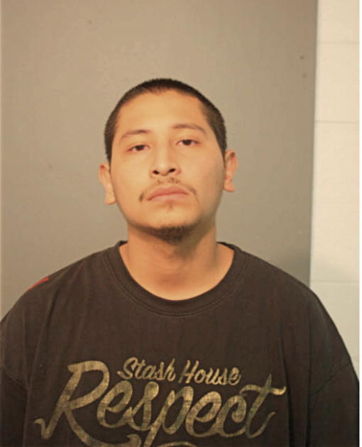 EMANUEL ROMAN, Cook County, Illinois