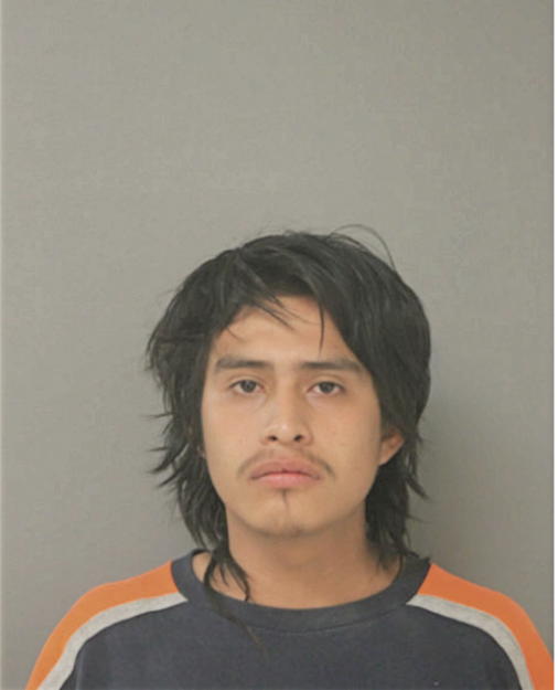 FRANCISCO V SANCHES, Cook County, Illinois