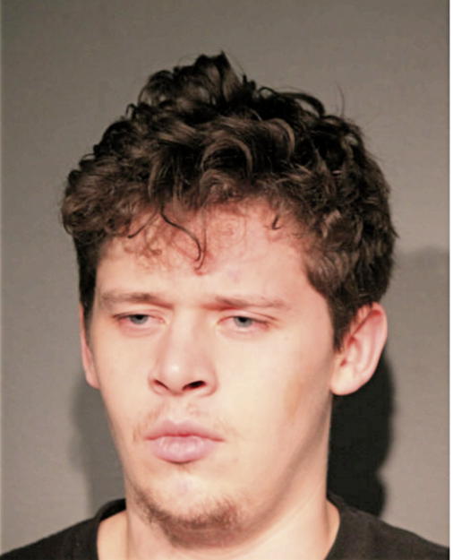 SEBASTIEN ALEXANDER SIMON, Cook County, Illinois