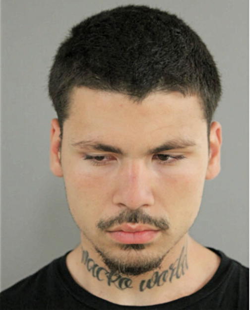 JUSTIN J VENTURA, Cook County, Illinois