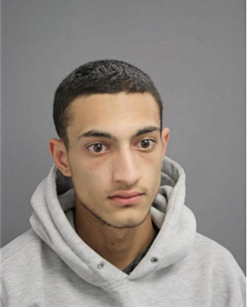 SAFAA ABBAS, Cook County, Illinois