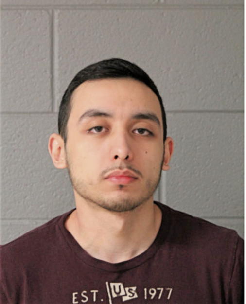 GUSTAVO A AGUILERA-GONZALEZ, Cook County, Illinois