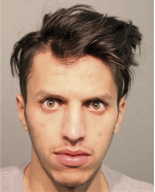 MANSOUR ALSUBAIH, Cook County, Illinois