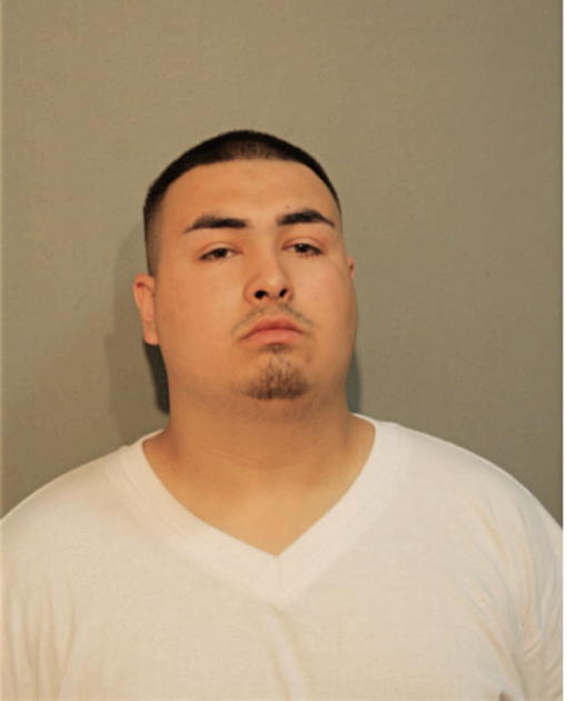 JUAN C ARRIAGA, Cook County, Illinois
