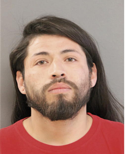 JULIO C ARTEAGA, Cook County, Illinois