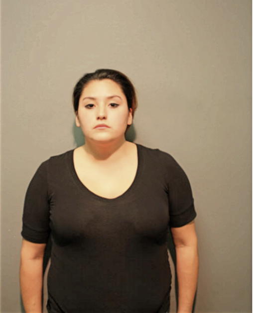 SARAH C BUSTAMANTE, Cook County, Illinois