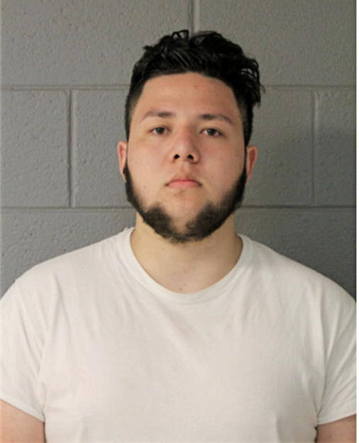 SAMUEL CASTILLO, Cook County, Illinois