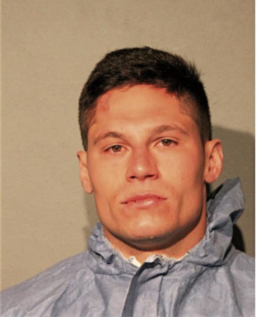 LOUIS J CHRISTOFILOS, Cook County, Illinois