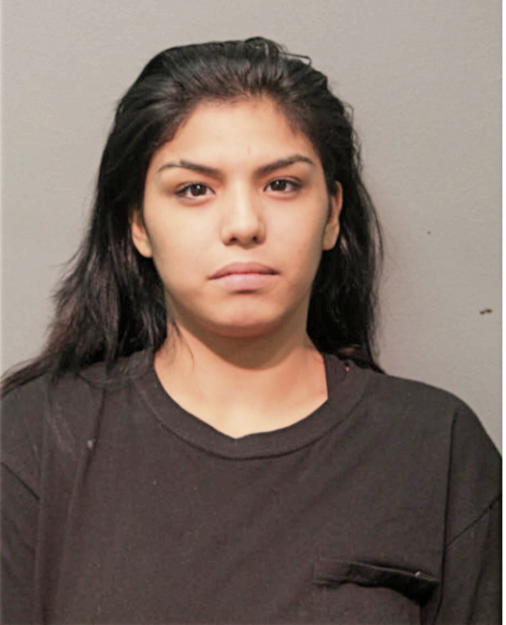 VIVIANA A COCKRIEL, Cook County, Illinois