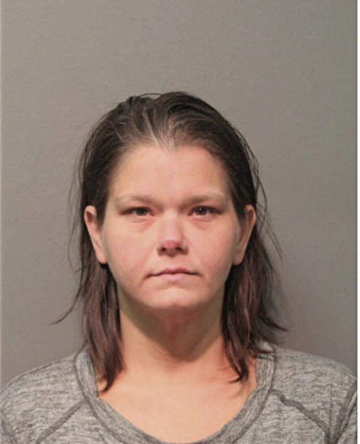 MICHELLE V CRANE, Cook County, Illinois