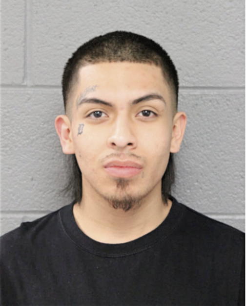 ERWIGN B DELGADO, Cook County, Illinois