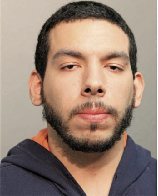 FRANCISCO D GONZALEZ, Cook County, Illinois