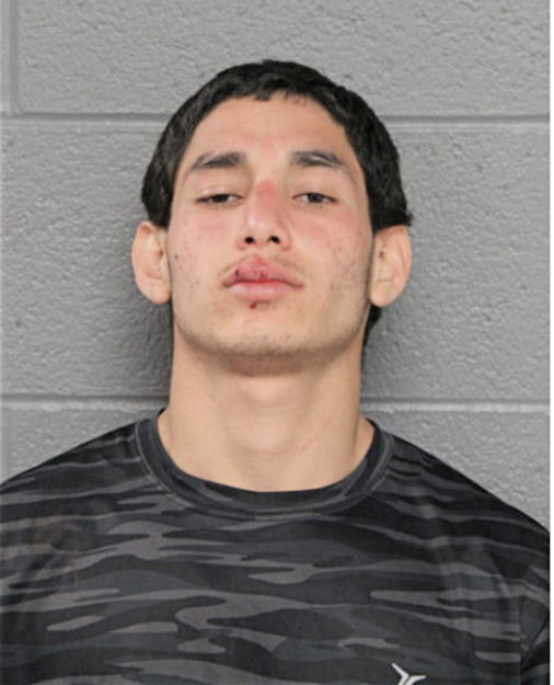 FERNANDO GUZMAN, Cook County, Illinois