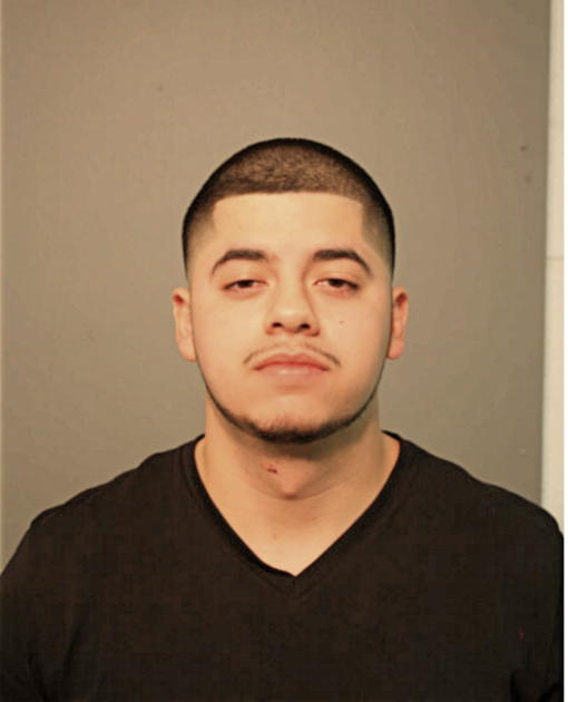 IVAN GUZMAN, Cook County, Illinois