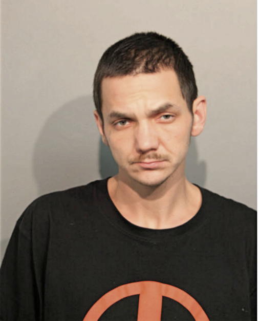 BRIAN J HAMILTON, Cook County, Illinois