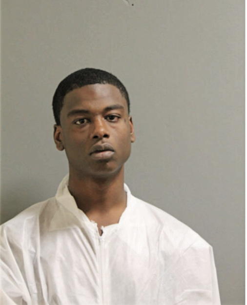 CHRISTOPHER D HIBBLER, Cook County, Illinois