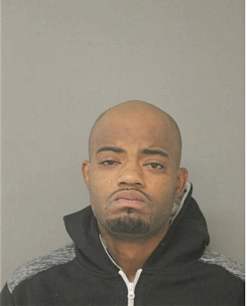 ROBERT J HORTON, Cook County, Illinois