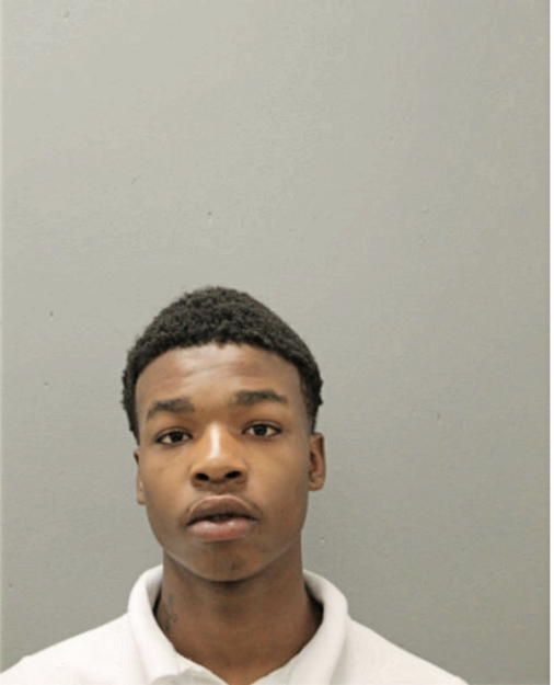 TONY M JOHNSON, Cook County, Illinois
