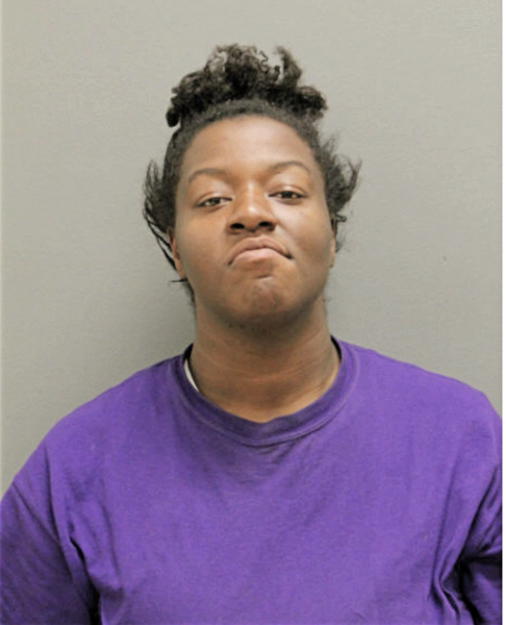 ERICKA L LLOYD, Cook County, Illinois
