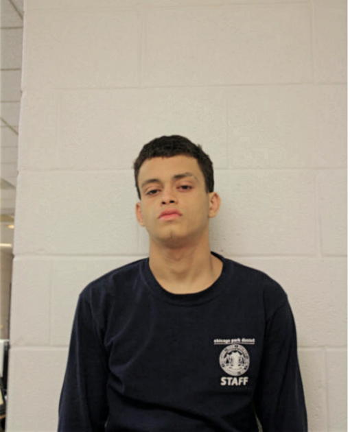 JOSE E MARTINEZ, Cook County, Illinois