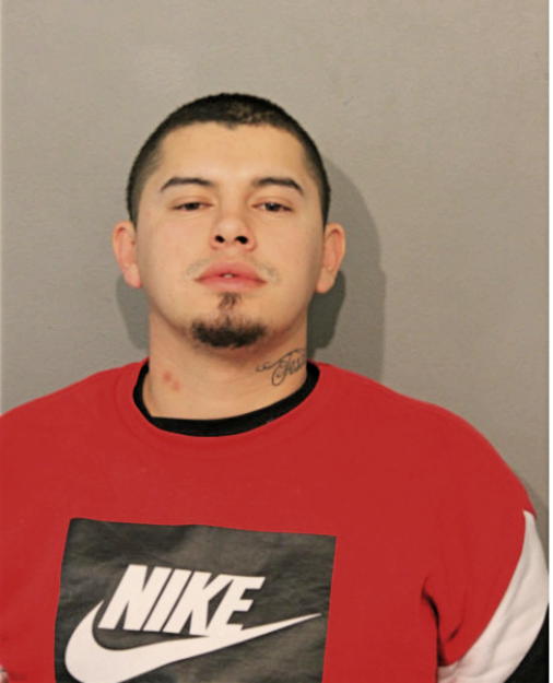 MOISES L NAVARRETE VALLES, Cook County, Illinois