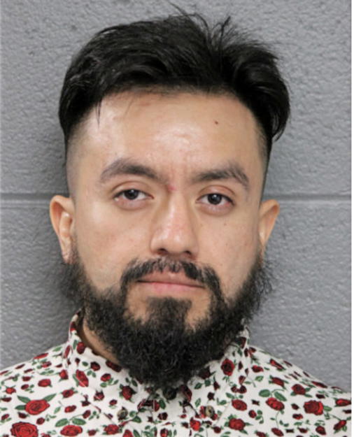 ERICK PEDRO-GONZALEZ, Cook County, Illinois