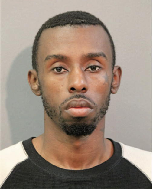 ALGERNON C PERKINS, Cook County, Illinois