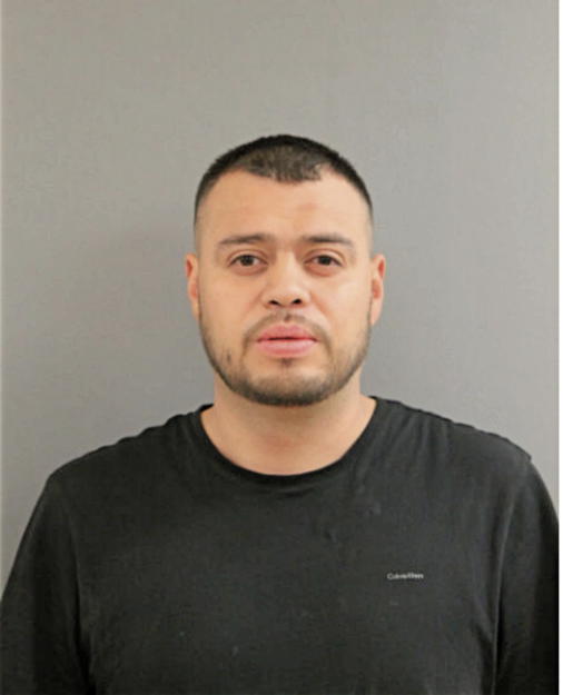 JAIME G PONCE, Cook County, Illinois
