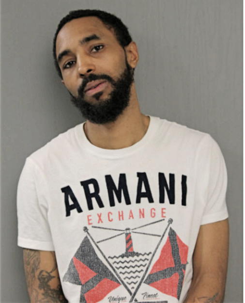 KENTRELL L RAY, Cook County, Illinois