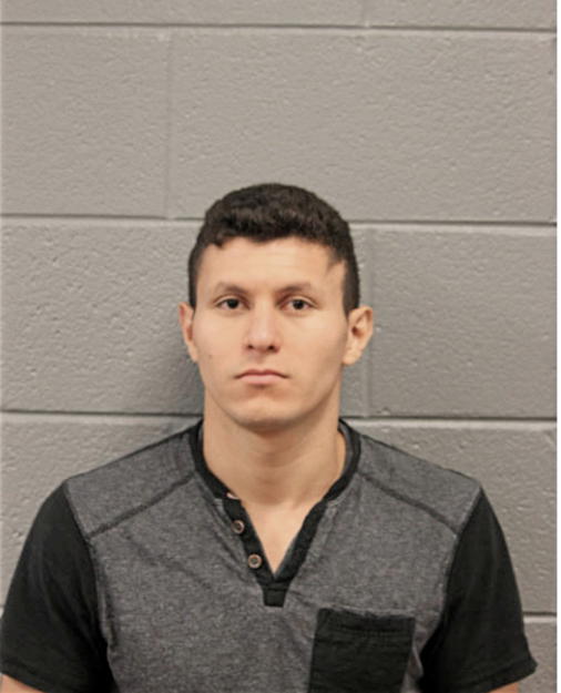 SAVIER REYES, Cook County, Illinois
