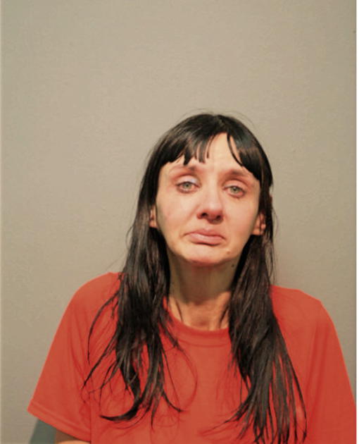 LOUISE A RHODES, Cook County, Illinois