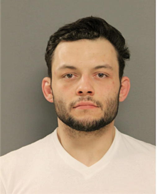 NICHOLAS J SHARP, Cook County, Illinois