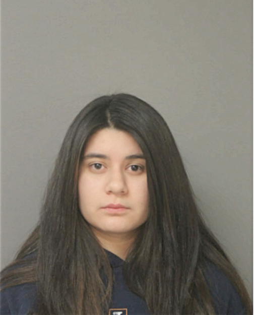 DIANA SOLIS, Cook County, Illinois