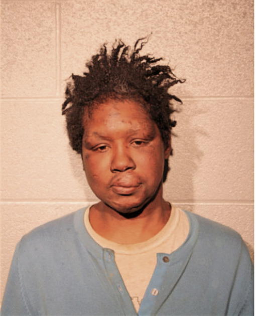 MICHELLE STEWARD, Cook County, Illinois