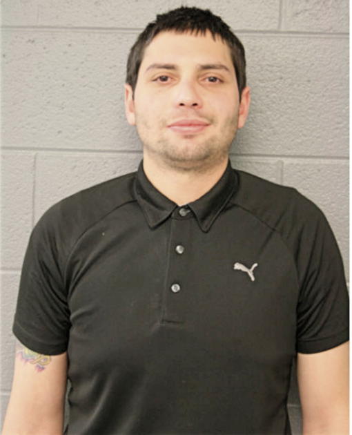 JOSE D TOLEDO, Cook County, Illinois