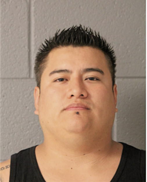 CARLOS H TORRES, Cook County, Illinois