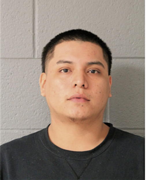ELMO BACILIO VIRGEN, Cook County, Illinois