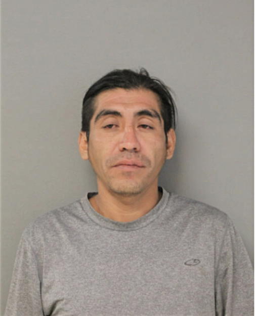 ADOLFO AGREDA, Cook County, Illinois
