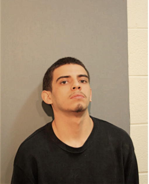 JAVONNI J AVILA, Cook County, Illinois