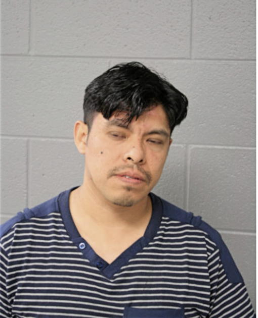 DIEGO BAUTISTA, Cook County, Illinois