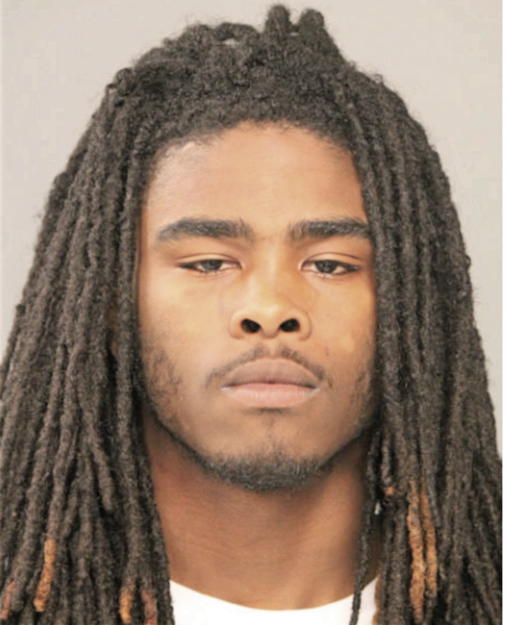 LEE D CAMERON, Cook County, Illinois