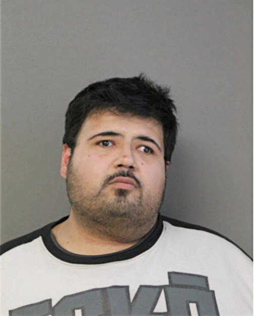 VICTOR M CHAVEZ, Cook County, Illinois