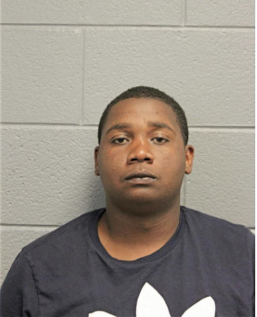 JESSE D ELLEBB, Cook County, Illinois