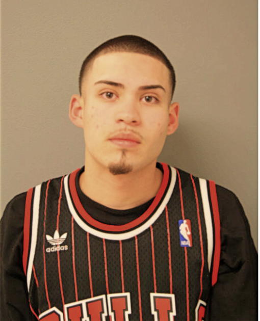 JOSE M GUZMAN, Cook County, Illinois