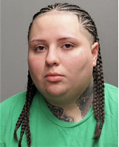 ANGELICA V HERNANDEZ, Cook County, Illinois