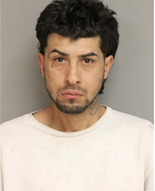 NOEL HERNANDEZ-MEDINA, Cook County, Illinois