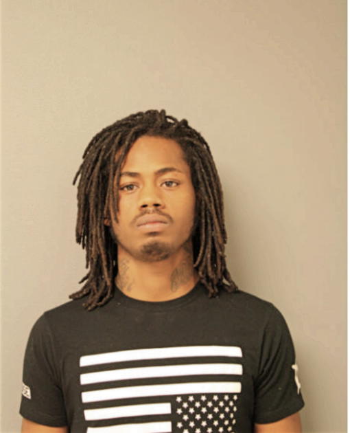 DARYL D HERRING, Cook County, Illinois